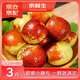 京鮮生 陜西大荔冬棗 凈重3斤 單果15-23g 生鮮水果