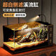 森森（SUNSUN）溪流側(cè)濾魚缸 客廳小型桌面制氧生態(tài)一體式超白溪流造景魚缸 靜雅桌面溪流缸500白色/帶濾材濾棉