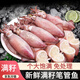 海兔子滿籽筆管魚新鮮墨魚籽烏賊小管魷魚冷凍筆管海兔子順豐 滿籽筆管魚1斤*2包