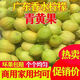 正宗廣東無(wú)籽香水檸檬 新鮮應(yīng)季時(shí)令鮮果整箱孕婦水果 優(yōu)選精品裝單果50g+ 3斤帶箱 凈重2.5-2.8斤