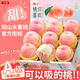 京地達無(wú)錫陽(yáng)山水蜜桃正宗凈重8斤單果250g+ 桃子應季現貨源頭直發(fā)包郵