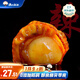 漁大叔 海鮮零食即食扇貝肉干肉脯高蛋白下酒菜大連特產(chǎn) 香辣灣仔貝169g