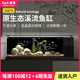 德克（D&A）溪流缸客廳生態(tài)缸桌面魚缸一體缸自循環(huán)免換水懶人造景養(yǎng)魚水族箱 北溪1號-黑（架燈款） 61.2x31.2x32cm