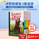 英文原版 胖熊與瘦兔5冊盒裝 Rabbit and Bear 兔子和熊 兒童英語繪本故事書 Julian Gough 友誼主題橋梁書 胖熊與瘦兔5冊盒裝