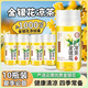 胖東來超市品質(zhì)飲料批發(fā)整箱24瓶金銀花涼茶草本植物0糖0脂肪飲料 胖東來超市品質(zhì)金銀花涼茶【下火必備】 胖東來超市品質(zhì)怕上火就喝金銀花：【10瓶】賣完下架