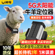 閑鳥牛羊馬定位器5G動(dòng)物山區(qū)放牧防丟防水北斗衛(wèi)星精準(zhǔn)遠(yuǎn)程追蹤神器 牛羊5G加強(qiáng)版1W+精準(zhǔn)定位首年版 超長待機(jī)防水