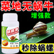 蝸螺凈正品蝸牛專(zhuān)用家庭院鼻涕蟲(chóng)蛞蝓福壽螺果樹(shù)蔬菜花卉農田助劑 2/瓶共600毫升【軟體害蟲(chóng)一掃光】