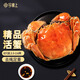【活蟹】今錦上蘇州大閘蟹2.3-2.6兩 8只鮮活六月黃現貨螃蟹生鮮禮盒 去繩足重源頭直發(fā)