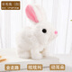 拉迪圖兒童玩具電動(dòng)兔子會(huì )動(dòng)會(huì )叫搖耳朵毛絨玩具仿真小兔子寵物玩具禮物 長(cháng)毛兔（白） 普通電池+螺絲刀【百分之25%人選擇】