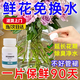 花神紀鮮花泡騰片84消毒二氧化氯綠植專(zhuān)用保鮮片鮮切花保鮮劑醒花消毒 1瓶-插花養花延長(cháng)花期