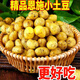 高山小土豆馬鈴薯新鮮高山農(nóng)家迷你小洋芋 高山小土豆  凈重4.5斤
