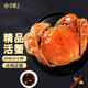 【活蟹】今錦上蘇州大閘蟹2.0-2.3兩 8只鮮活六月黃現(xiàn)貨螃蟹生鮮禮盒 去繩足重源頭直發(fā)