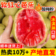 探味君 廣西紅心芭樂番石榴 新鮮水果生鮮健康輕食帶箱 軟糯紅心芭樂凈重4.8斤