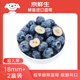 京鮮生 進(jìn)口秘魯藍(lán)莓2盒裝 JUMBO 18mm+ 約125g/盒 生鮮 源頭直發(fā)