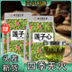 北京同仁堂蓮子心茶去心火火氣不旺了特級(jí)特一級(jí)純天然新鮮清熱祛火小茶包 【五十斤蓮子-產(chǎn)一斤蓮子芯】 當(dāng)季火【蓮子芯茶】【30袋】