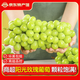 閩農(nóng)語果陽光玫瑰葡萄新鮮晴王無籽香印提子當季新鮮水果整箱送禮綠葡萄 凈重0.8-1斤【單果6-10g】 團購/售后詳詢客服
