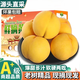 壹萌果蔬山東蒙陰黃桃鮮果當(dāng)季新鮮毛桃子水果現(xiàn)摘現(xiàn)發(fā)整盒送禮 5斤精品果【單果100g+】凈4.5斤