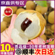 田拾記廣東石峽儲(chǔ)良龍眼【JD/順豐-多地次日達(dá)】新鮮老樹現(xiàn)摘現(xiàn)發(fā)桂圓 5A級(jí)丨甜 10斤裝丨石峽龍眼丨80%選蕞劃算