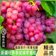 正宗新疆吐魯番玻璃翠葡萄4斤無(wú)核玻璃脆現(xiàn)摘新鮮水果無(wú)籽提脆甜 玻璃翠葡萄4斤精品果