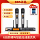 BBS無(wú)線(xiàn)話(huà)筒專(zhuān)業(yè)一拖二家庭KTV用卡拉OK唱歌會(huì )議演出舞臺手持麥克風(fēng) BBS B8（家庭基礎款1）