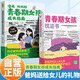 全2冊 青春期女孩枕邊書+青春期女孩的成長指南 養(yǎng)育女孩書籍青春期性教育女孩青春期教育書自我保護正面管教家庭教育解惑生理問題心理問題學習問題父母必讀書籍