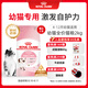 皇家幼貓貓糧 幼貓奶糕 K36 通用糧 4-12月 2KG