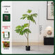 掬涵北歐風(fēng)仿真植物盆景面包樹綠植客廳裝飾擺件電視柜角落擺設(shè)高顏值 高度仿真/外貿(mào)一級 1.8m+花盆+花盆托