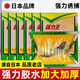 創(chuàng)惠仁日本粘鼠板強力膠粘大老鼠透明加大加厚超強力黑鼠老鼠貼帶誘餌 1袋裝 【10張贈誘餌】優(yōu)品粘力特大號