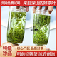 【山里茶濃】正宗特級黃山毛峰2025新茶葉頭采明前嫩芽濃香型春茶 250克（半斤罐裝）黃山毛峰