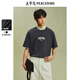 太平鳥(niǎo)男裝【T恤熱賣(mài)清倉】重磅刺繡短袖合集t恤休閑體恤衫純色半袖潮 主題刺繡T灰色 BACNF221F S