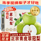 正宗碭山梨青梨翠冠梨整箱10斤青皮梨現(xiàn)摘應(yīng)季水果新鮮酥脆多汁 10斤【巨量狂歡-滿足裝】 【80%選擇】精品果I單果250g+