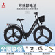 鳳凰（Phoenix）M9陶瓷白電動自行車鋰電池助力山地自行車成人電瓶車電單車 M9-26寸/午夜黑/七速/三刀輪【電池可拆卸】 20AH（純電續(xù)航約80KM）