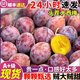 夢(mèng)茜兒順豐 西梅 新鮮禮盒裝李子脆酸甜水果孕婦生鮮時(shí)令當季特產(chǎn) 5斤凈重 A級【中果20-30g】順豐