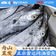昌鮮園舟山雷達網油帶魚新鮮冷凍小眼睛帶魚整條海刀魚海鮮水產特大帶魚 【6-8兩/條】3斤裝 雷達網油帶
