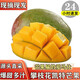 久雅優(yōu)鮮四川凱特芒果特大芒果新鮮水果應(yīng)季現(xiàn)摘時令生鮮孕婦熱帶水果 4.5-5斤（300g-500g）