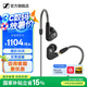森海塞爾有線耳機(jī)IE900/IE600/IE300旗艦級HIFI生日父親節(jié)畢業(yè)禮物品入耳式監(jiān)聽可拆卸MMCX掛耳式音樂耳塞 IE300【進(jìn)階級HiFi耳機(jī)】