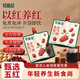 輕植紀(jì)五紅元?dú)怙?20ml*7 溫補(bǔ)五紅湯即食飲料氣血孕婦月子枸杞大棗紅糖 【單周體驗(yàn)】1包（共7袋）