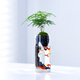 緣植竹柏苔蘚微景觀(guān)植物室內辦公桌面小盆栽造景綠植生態(tài)瓶魚(yú)缸送禮物 迷你文竹+黑火山景觀(guān)杯+白石子（不含小魚(yú)）