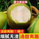 25年建寧翠冠梨新鮮現(xiàn)摘水果脆甜多汁細(xì)膩非皇冠梨5/10斤裝 5斤 中果175g特惠果