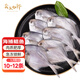 賣魚七郎 冷凍鮮活小銀鯧魚凈重1.7斤 10-12條深海魚生鮮魚類海鮮水產(chǎn)