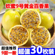 果益壽廣西欽蜜9號黃金百香果 新鮮水果白香果醬原漿整箱 30個裝 嘗鮮果【單果30g以下】