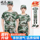 皚虎純棉軍訓(xùn)服套裝男女迷彩服夏季薄款學(xué)生軍訓(xùn)服裝迷彩服工作服