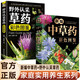2冊新編中草藥彩色圖鑒+野外認采草藥 讓你足不出戶(hù)認清中草藥藥材植物彩圖大全中醫養生書(shū)籍基礎入門(mén)書(shū)