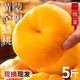 蒙陰黃金蟠桃新鮮水果當季整箱孕婦時令水果黃毛蟠桃脆甜桃子潘桃 黃毛蟠桃凈重4.5斤【單果150g+】