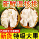 云南高山古樹新鮮核桃 濕核桃 手工去皮薄皮核桃孕婦寶寶可食 去皮鮮核桃-精選5斤裝-帶夾子