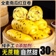 全麥南瓜紅豆卷早餐半成品花卷豆沙包雜糧饅頭手工窩窩頭粗糧主食 試吃裝/6個(gè)紅豆卷（一個(gè)80g）