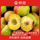 京覓四川茵紅李脫骨李3斤裝 大果25g+半邊紅李子青紅脆李水果源頭直發(fā)