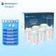 聚藍（bluetech） 三代直飲理智濾芯凈水器壺去水垢泥沙鐵銹農殘真菌余氯除菌527/530 【理智濾芯F004-兩盒】