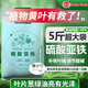 花大壯硫酸亞鐵花肥5斤 喜酸花卉肥料盆栽通用養花水溶肥茶花梔子花肥料 硫酸亞鐵5斤【性?xún)r(jià)比】