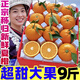 黃六爺湖北秭歸夏橙新鮮橙子新鮮水果整箱應(yīng)當(dāng)季手剝橙子果凍甜橙子榨汁 3斤 60mm以下 實(shí)惠
